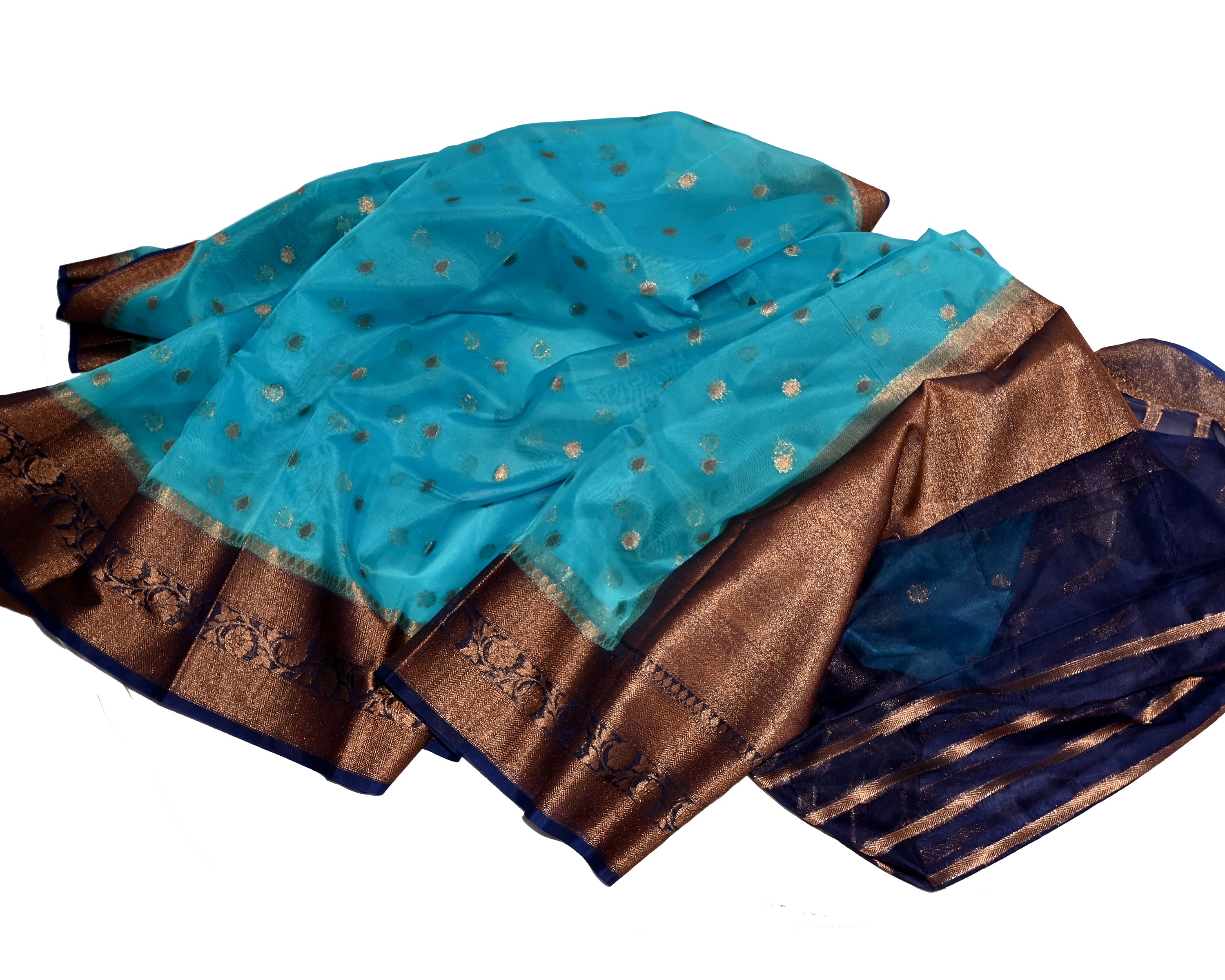 Silakaari Women's Blue Banarasi Hand Zari work Organza saree