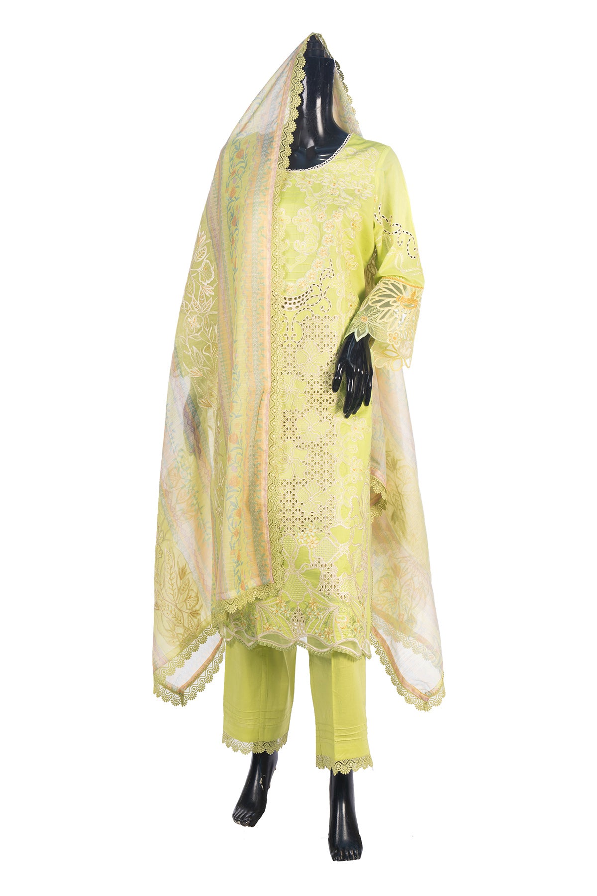 Silakaari Rangrasiya Pista Green All Over Chikan Organza Premium  Ready-Made Dress