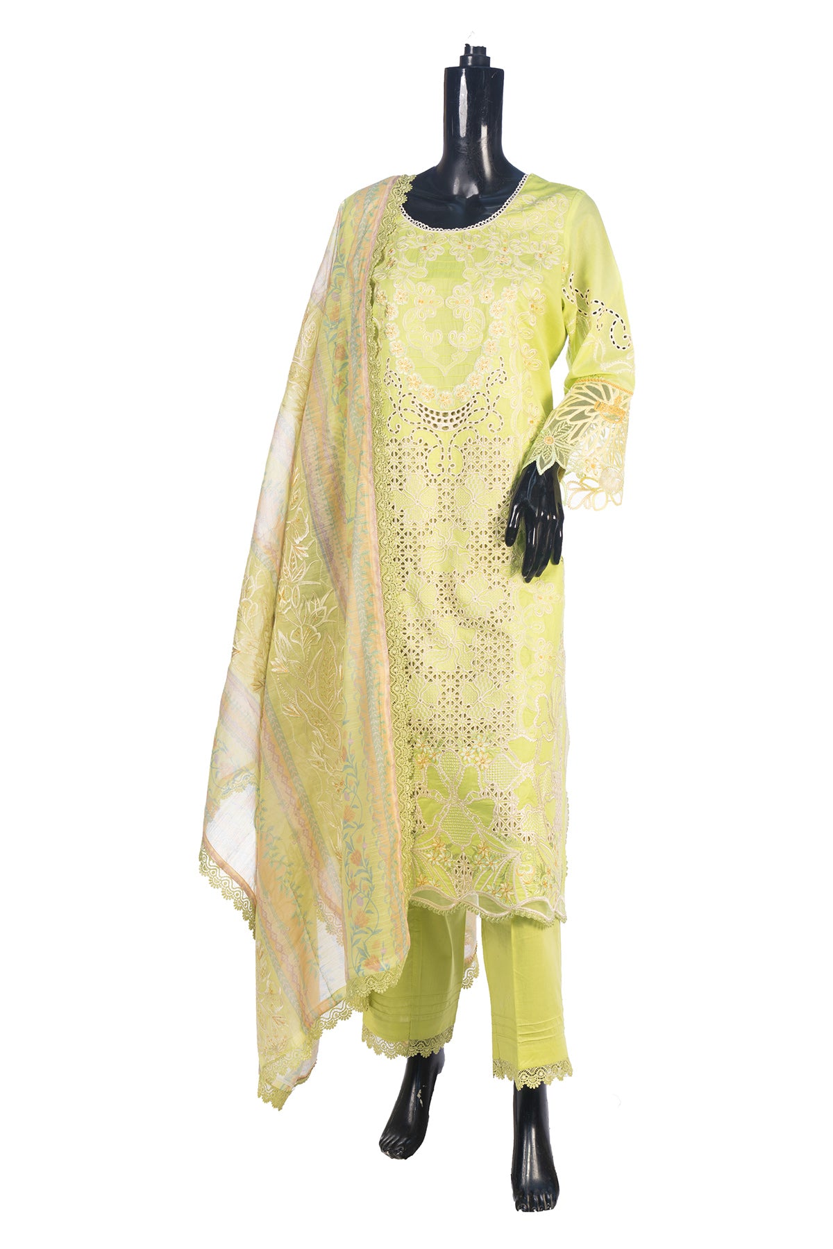 Silakaari Rangrasiya Pista Green All Over Chikan Organza Premium Ready-Made Dress