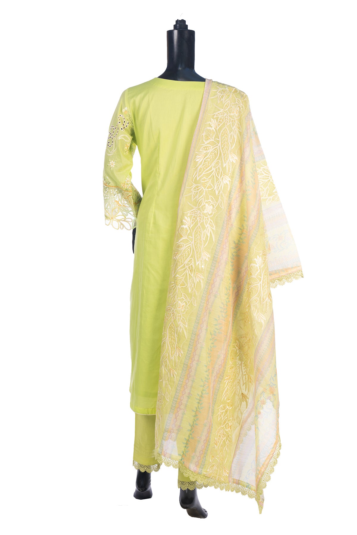 Silakaari Rangrasiya Pista Green All Over Chikan Organza Premium Ready-Made Dress