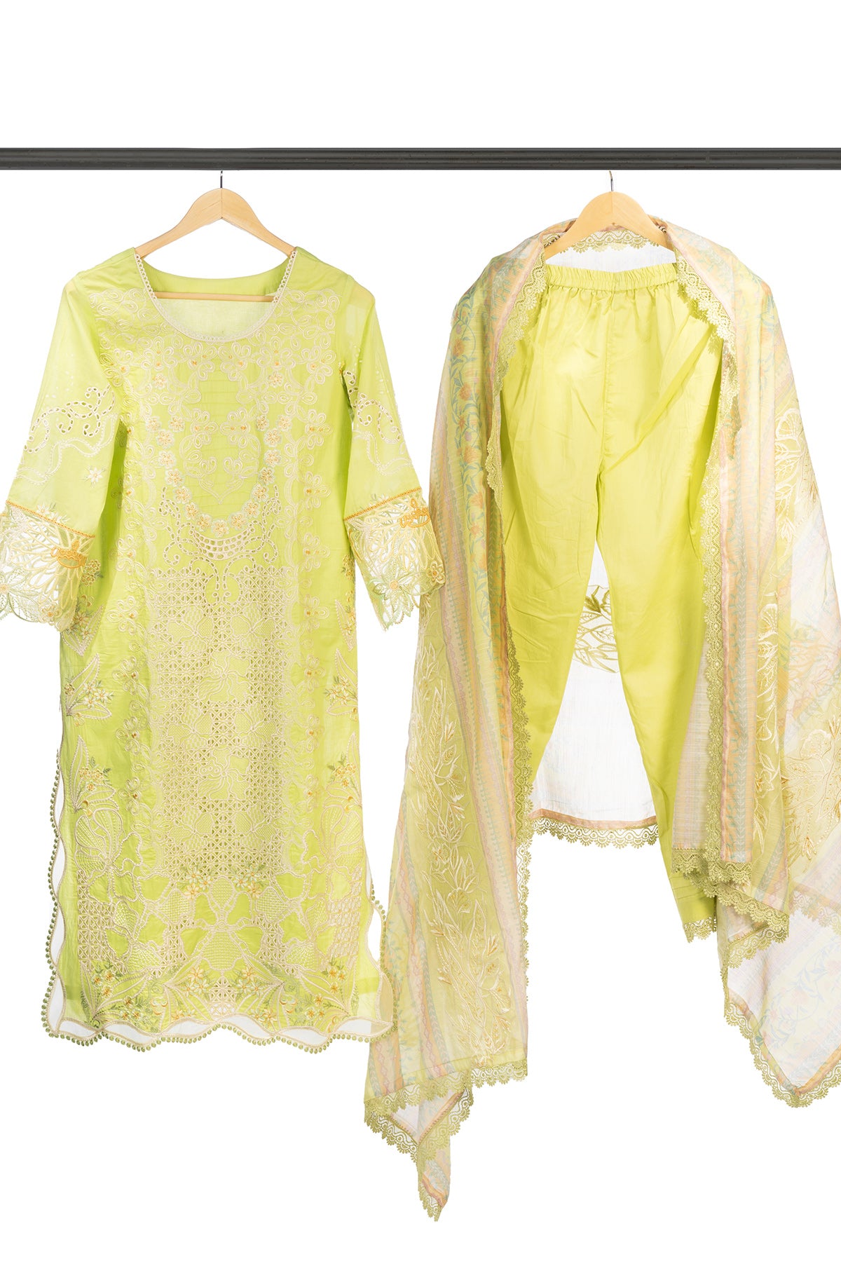 Silakaari Rangrasiya Pista Green All Over Chikan Organza Premium Pakistani Ready-Made Dress