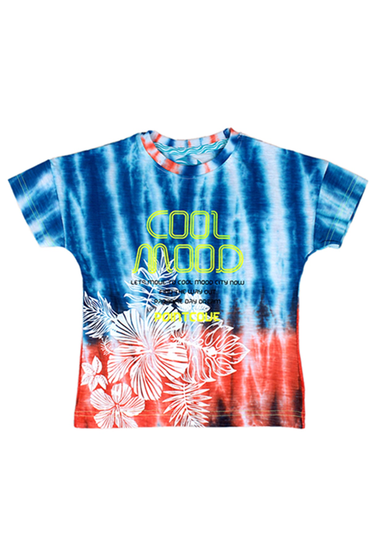 Silakaari Kids Blue Printed Half Sleeve Casual T-Shirt For boys